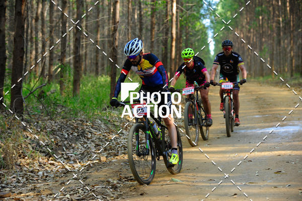 Buy your photos of the event16 Edio Maratona 100Km Canaviais on Fotop