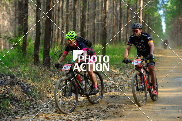 Buy your photos of the event16 Edio Maratona 100Km Canaviais on Fotop