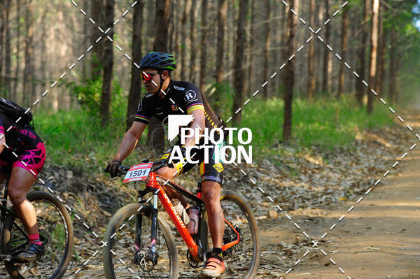Buy your photos of the event16 Edio Maratona 100Km Canaviais on Fotop