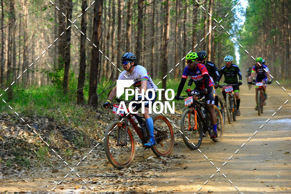 Buy your photos of the event16 Edio Maratona 100Km Canaviais on Fotop