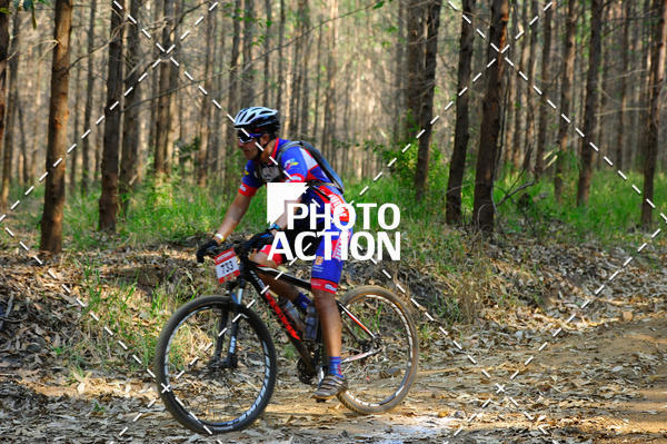 Buy your photos of the event16 Edio Maratona 100Km Canaviais on Fotop