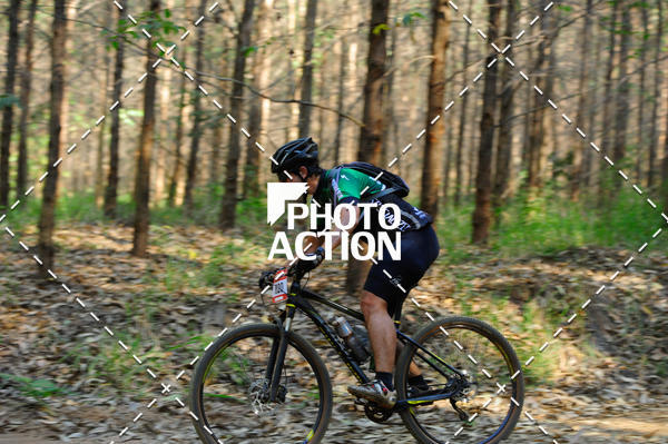 Buy your photos of the event16 Edio Maratona 100Km Canaviais on Fotop