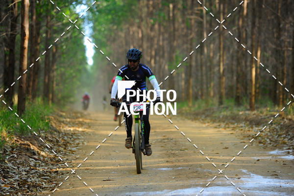 Buy your photos of the event16 Edio Maratona 100Km Canaviais on Fotop
