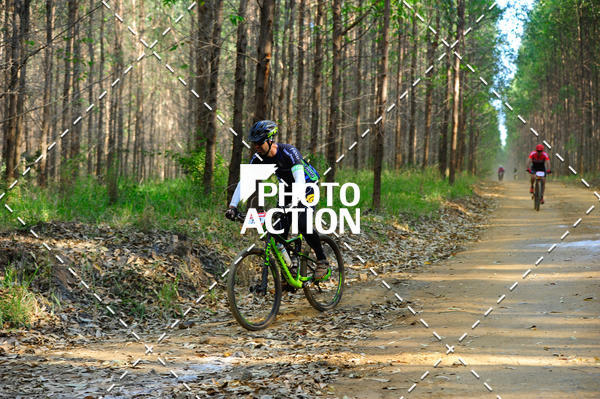 Buy your photos of the event16 Edio Maratona 100Km Canaviais on Fotop