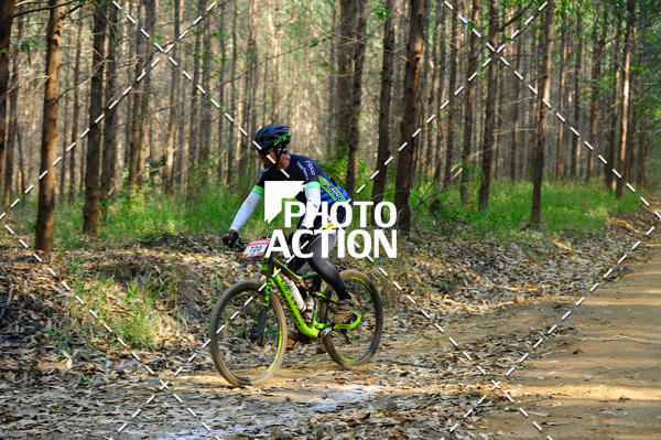 Buy your photos of the event16 Edio Maratona 100Km Canaviais on Fotop