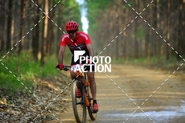 Buy your photos of the event16 Edio Maratona 100Km Canaviais on Fotop