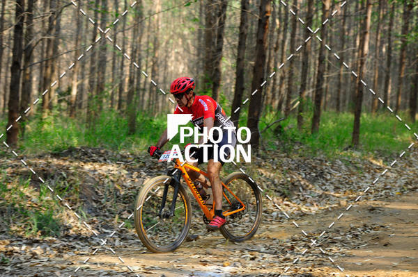 Buy your photos of the event16 Edio Maratona 100Km Canaviais on Fotop