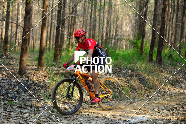 Buy your photos of the event16 Edio Maratona 100Km Canaviais on Fotop