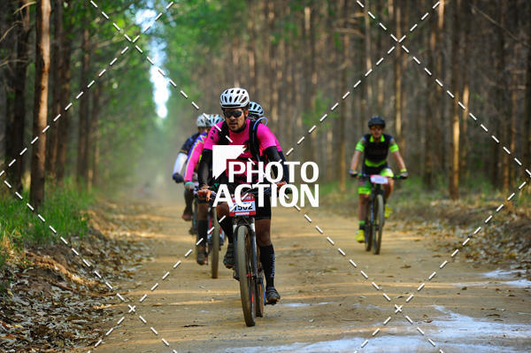 Buy your photos of the event16 Edio Maratona 100Km Canaviais on Fotop