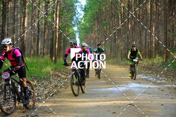 Buy your photos of the event16 Edio Maratona 100Km Canaviais on Fotop