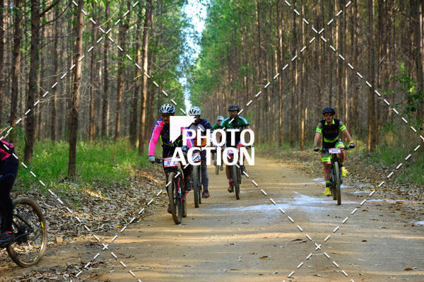 Buy your photos of the event16 Edio Maratona 100Km Canaviais on Fotop