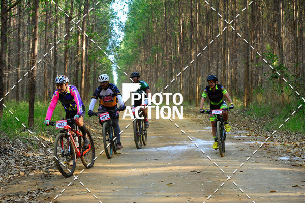 Buy your photos of the event16 Edio Maratona 100Km Canaviais on Fotop