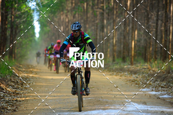 Buy your photos of the event16 Edio Maratona 100Km Canaviais on Fotop