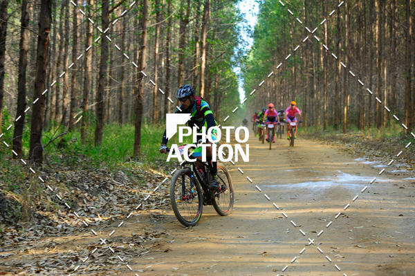 Buy your photos of the event16 Edio Maratona 100Km Canaviais on Fotop