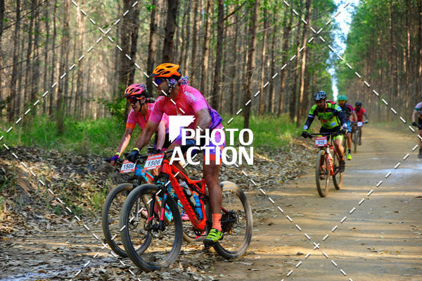 Buy your photos of the event16 Edio Maratona 100Km Canaviais on Fotop