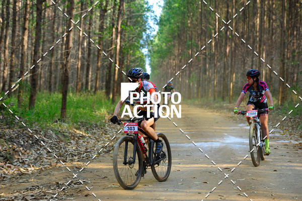 Buy your photos of the event16 Edio Maratona 100Km Canaviais on Fotop