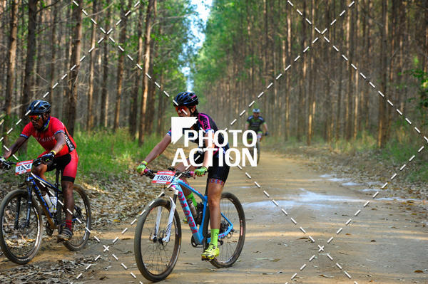 Buy your photos of the event16 Edio Maratona 100Km Canaviais on Fotop