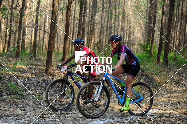 Buy your photos of the event16 Edio Maratona 100Km Canaviais on Fotop