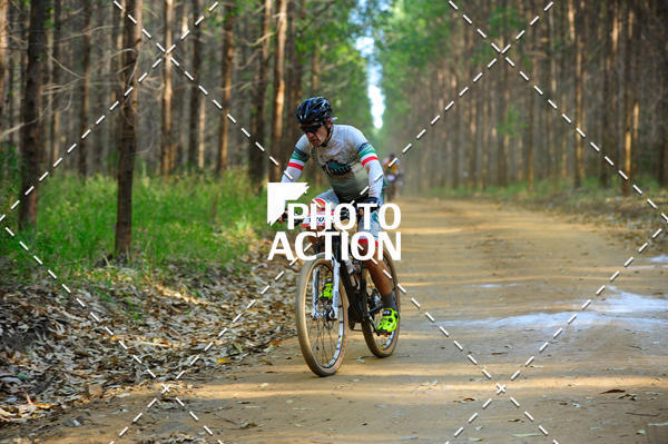 Buy your photos of the event16 Edio Maratona 100Km Canaviais on Fotop