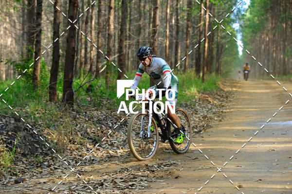 Buy your photos of the event16 Edio Maratona 100Km Canaviais on Fotop