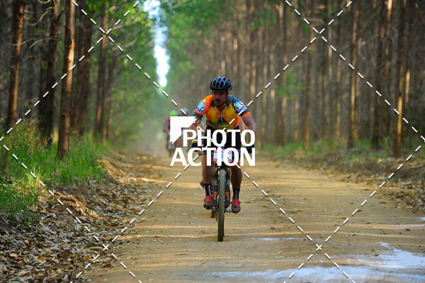 Buy your photos of the event16 Edio Maratona 100Km Canaviais on Fotop