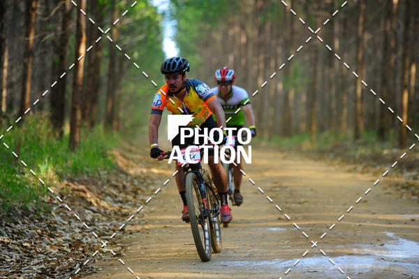 Buy your photos of the event16 Edio Maratona 100Km Canaviais on Fotop