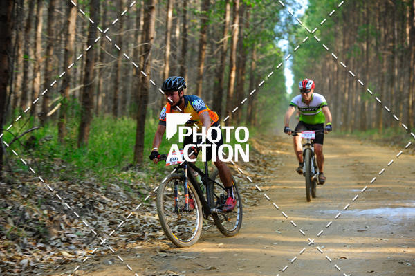 Buy your photos of the event16 Edio Maratona 100Km Canaviais on Fotop