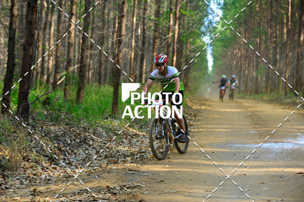 Buy your photos of the event16 Edio Maratona 100Km Canaviais on Fotop