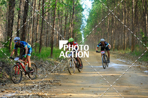 Buy your photos of the event16 Edio Maratona 100Km Canaviais on Fotop
