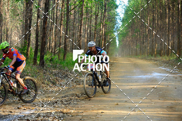 Buy your photos of the event16 Edio Maratona 100Km Canaviais on Fotop