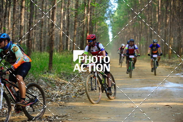 Buy your photos of the event16 Edio Maratona 100Km Canaviais on Fotop