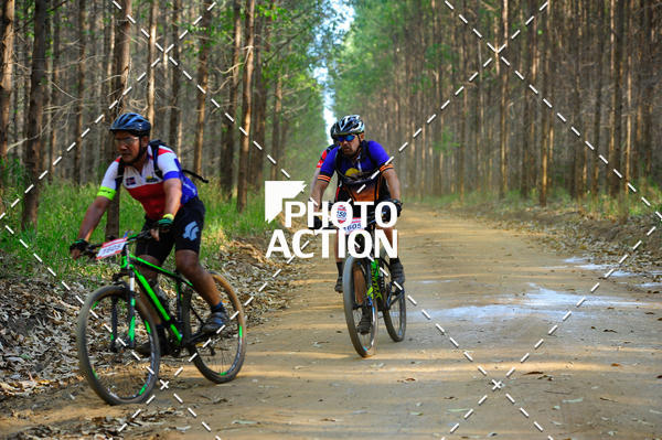 Buy your photos of the event16 Edio Maratona 100Km Canaviais on Fotop