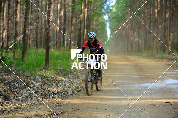 Buy your photos of the event16 Edio Maratona 100Km Canaviais on Fotop