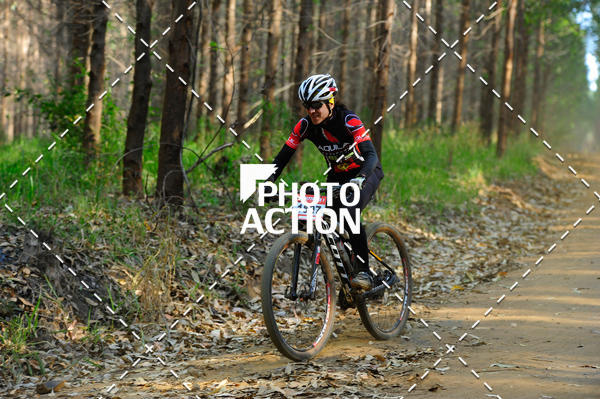 Buy your photos of the event16 Edio Maratona 100Km Canaviais on Fotop