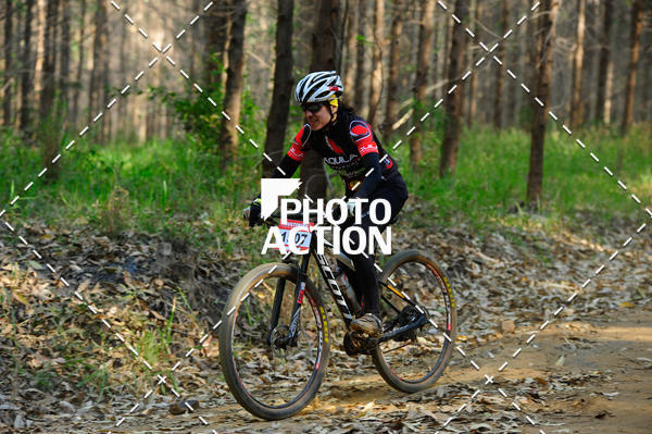 Buy your photos of the event16 Edio Maratona 100Km Canaviais on Fotop
