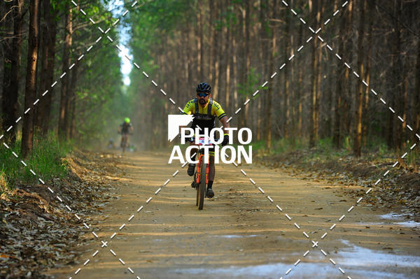 Buy your photos of the event16 Edio Maratona 100Km Canaviais on Fotop
