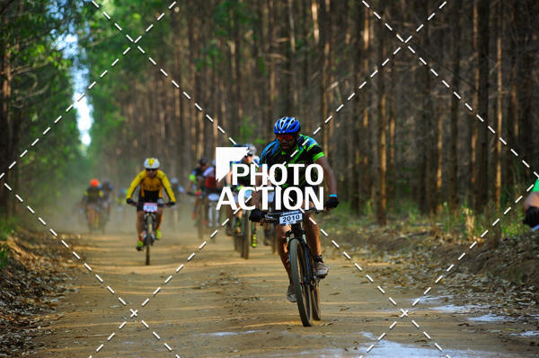 Buy your photos of the event16 Edio Maratona 100Km Canaviais on Fotop