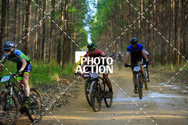 Buy your photos of the event16 Edio Maratona 100Km Canaviais on Fotop