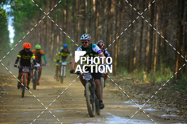 Buy your photos of the event16 Edio Maratona 100Km Canaviais on Fotop