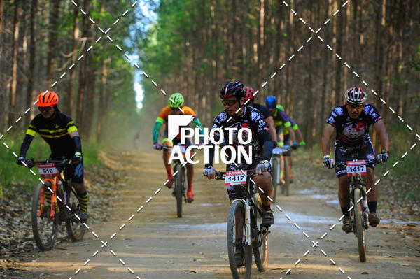 Buy your photos of the event16 Edio Maratona 100Km Canaviais on Fotop