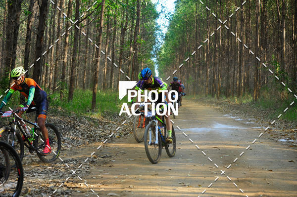 Buy your photos of the event16 Edio Maratona 100Km Canaviais on Fotop