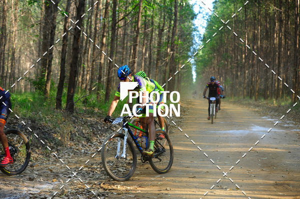 Buy your photos of the event16 Edio Maratona 100Km Canaviais on Fotop