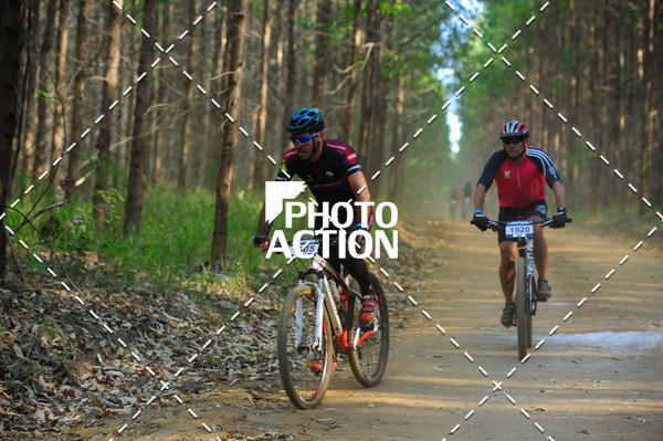 Buy your photos of the event16 Edio Maratona 100Km Canaviais on Fotop