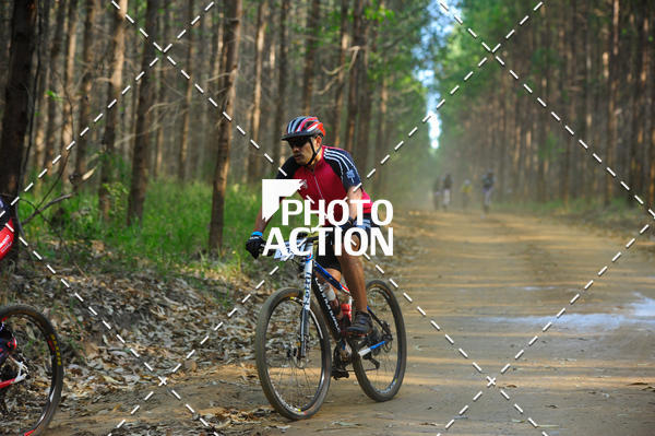 Buy your photos of the event16 Edio Maratona 100Km Canaviais on Fotop