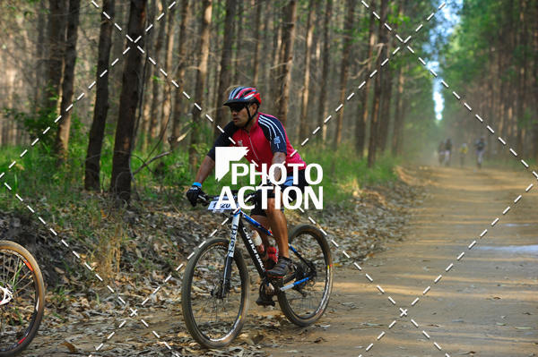Buy your photos of the event16 Edio Maratona 100Km Canaviais on Fotop