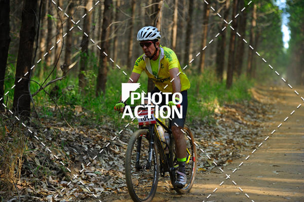 Buy your photos of the event16 Edio Maratona 100Km Canaviais on Fotop