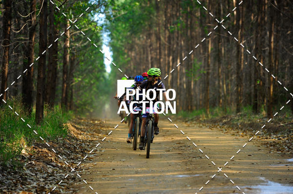 Buy your photos of the event16 Edio Maratona 100Km Canaviais on Fotop