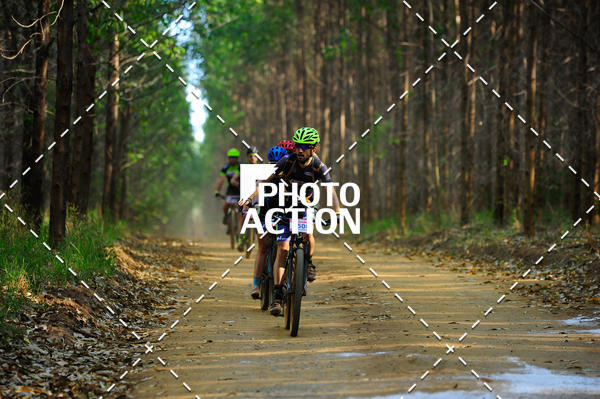 Buy your photos of the event16 Edio Maratona 100Km Canaviais on Fotop