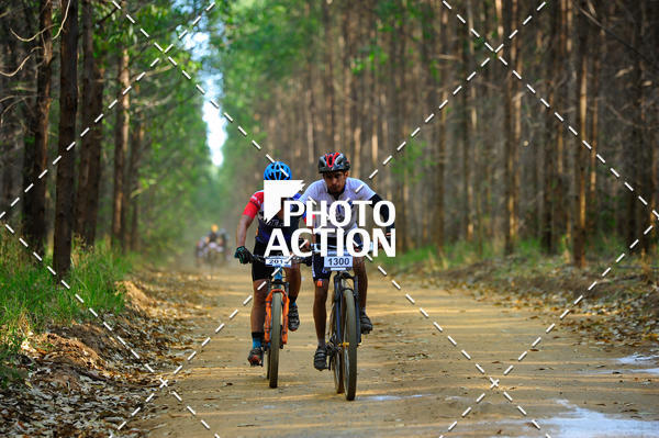 Buy your photos of the event16 Edio Maratona 100Km Canaviais on Fotop
