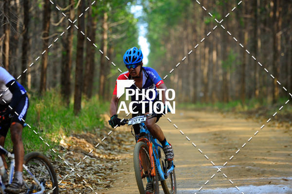 Buy your photos of the event16 Edio Maratona 100Km Canaviais on Fotop